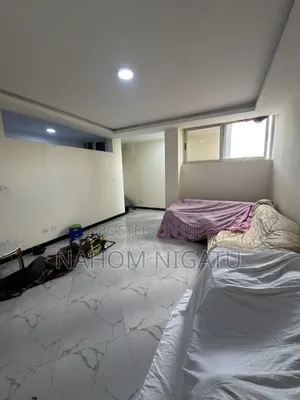 Furnished 2bdrm Apartment in Bole for sale