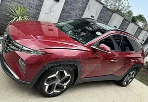 Hyundai Tucson 2022 Burgundy