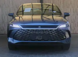 New BYD Qin Plus DM-i 2025 Gray