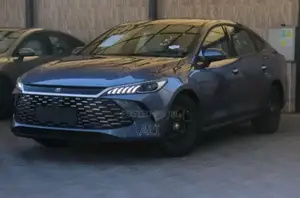 New BYD Qin Plus DM-i 2025 Gray