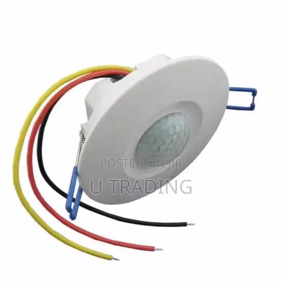 Motion Sensor Light