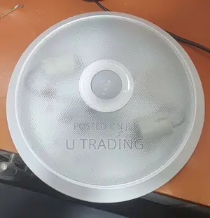 Motion Sensor Light