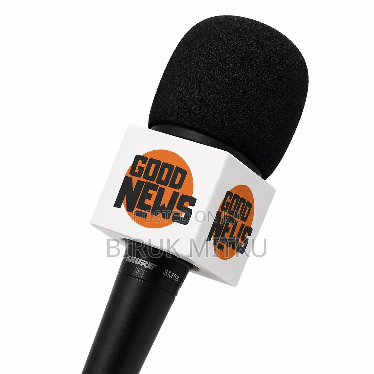 Freelancing Journalist