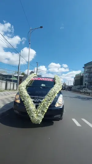 ቀብር አሰፈጻሚ አዲስአበባ