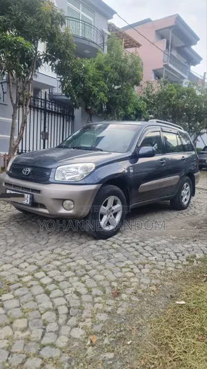 Toyota RAV4 1.8 2004 Matt Black