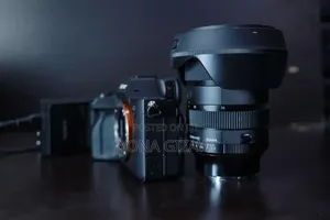 Sony A7iv With Sigma 24-70mm F/2.8