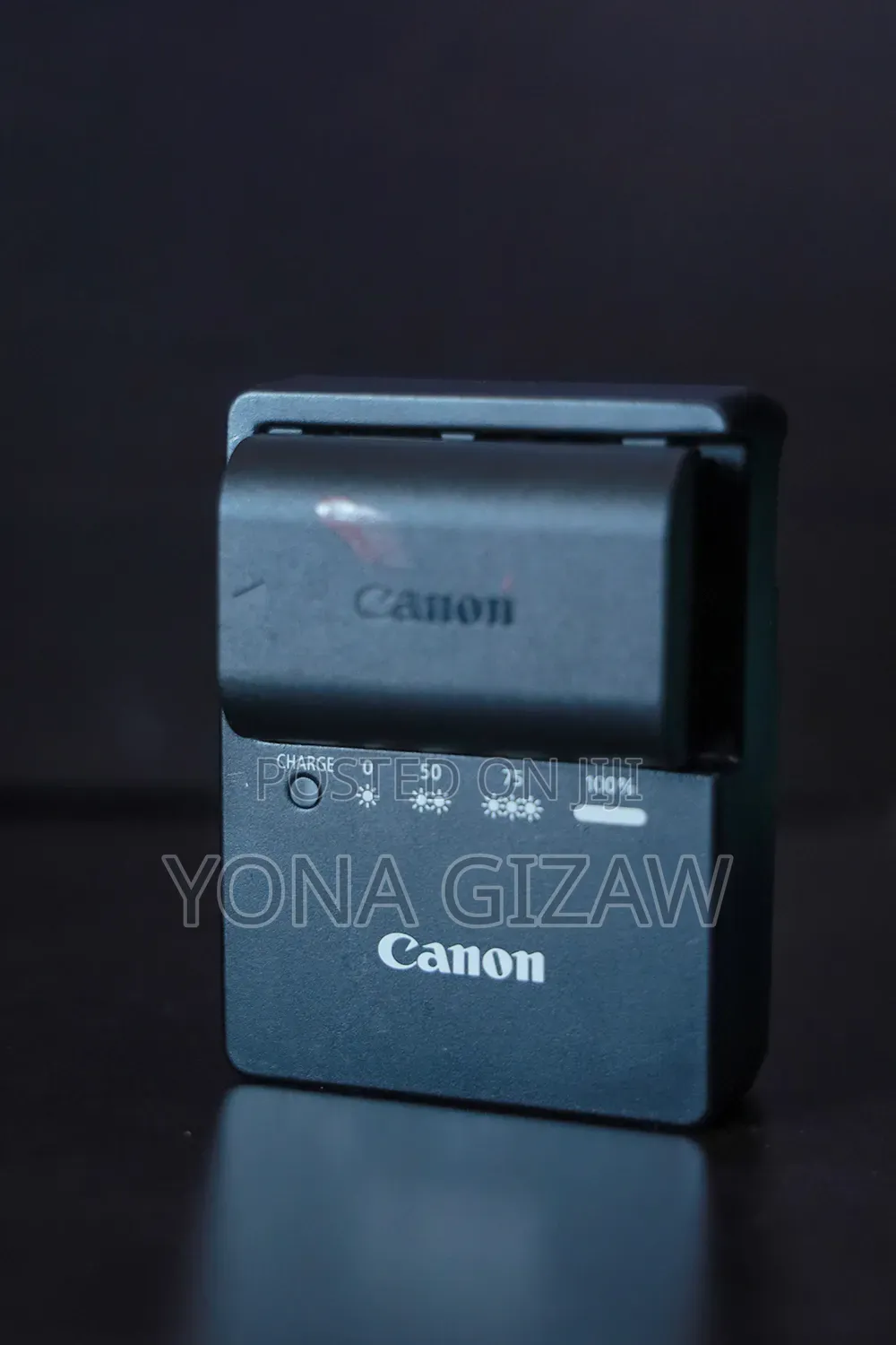 Canon R Body Onley