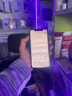 Apple iPhone 11 Pro Max 256 GB Blue