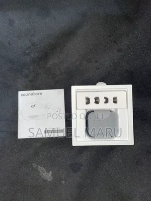 Ear Bud P30i