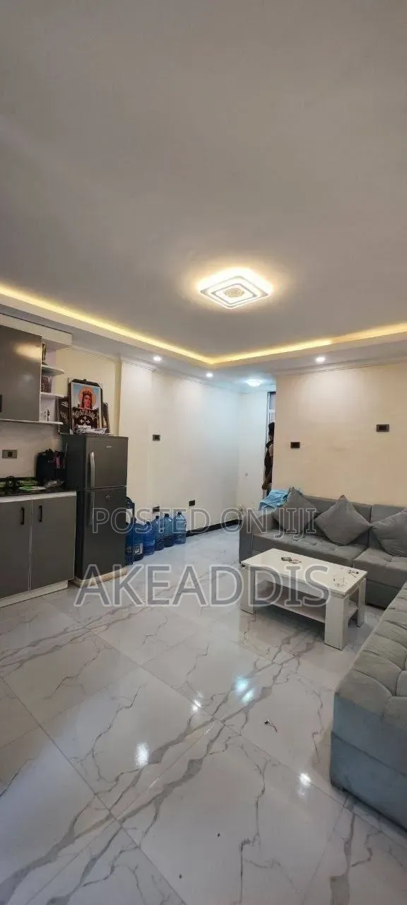 Furnished 1bdrm Condo in Bole Ayat for sale