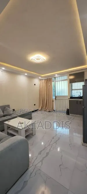 Furnished 1bdrm Condo in Bole Ayat for sale