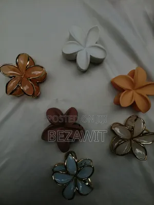 Claw Clips With Different Colours