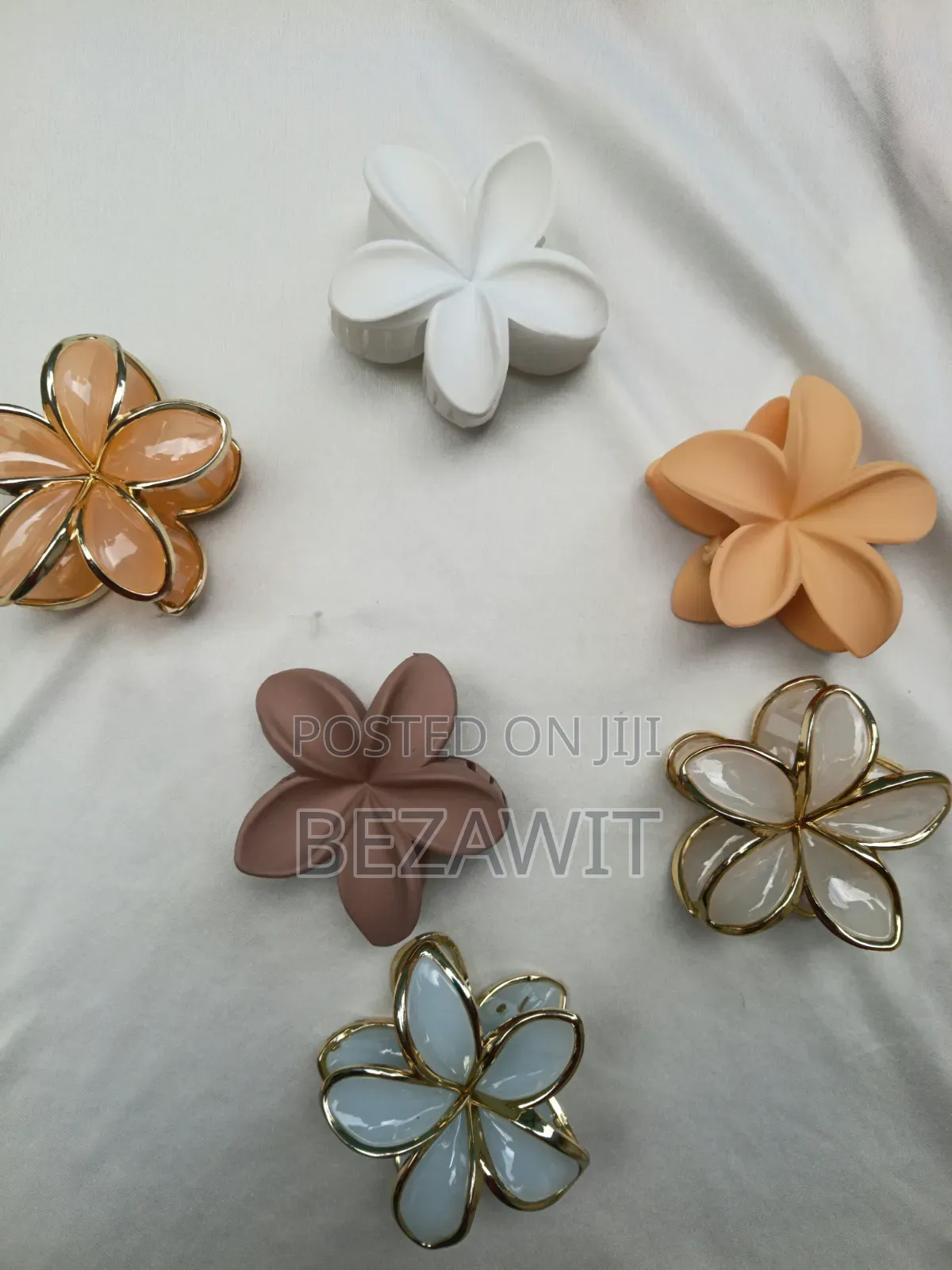 Claw Clips With Different Colours