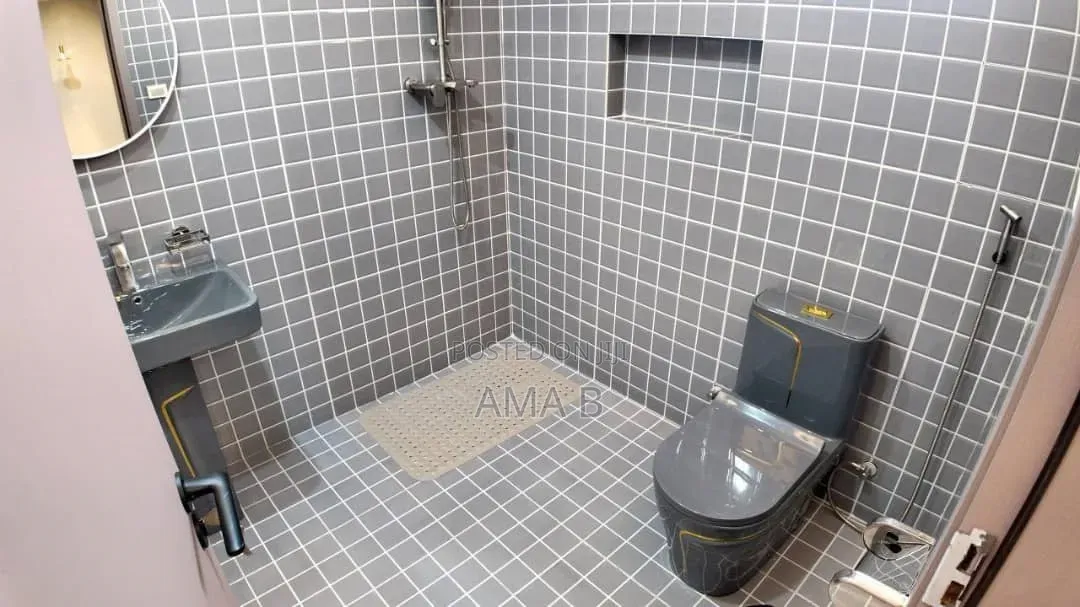Furnished 3bdrm Apartment in Bole for rent