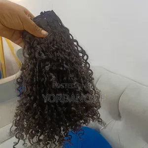 Human Hair 18 Inch Pixy