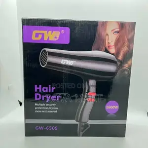 New Arival Gw Hair Dryer