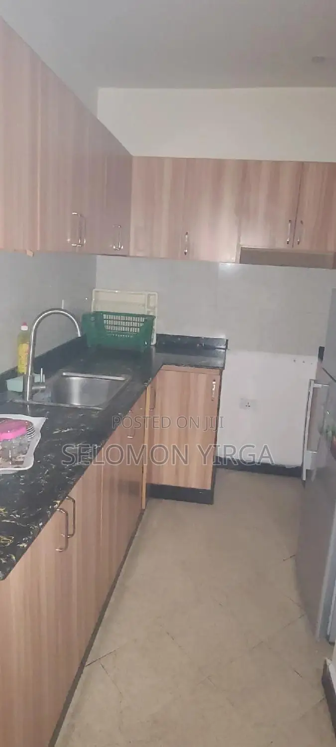 Furnished 3bdrm Apartment in አድስ አበባ, Yeka for rent