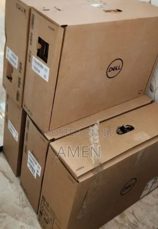 Dell 24 Inch Monitor