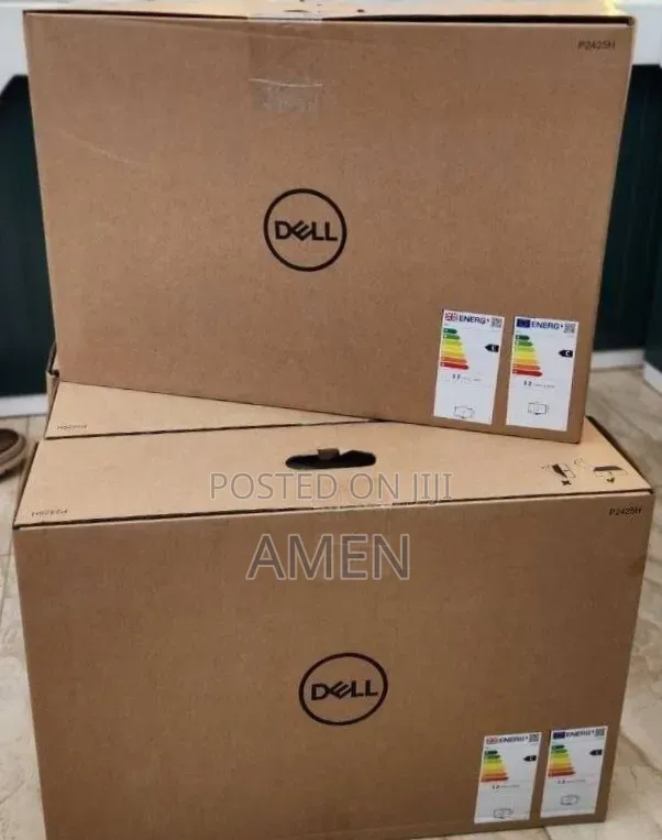 Dell 24 Inch Monitor