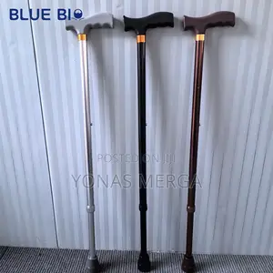 Single Walking Stick Model : Wa-Sg1転岚my Balance Is Wobbly at Best,
