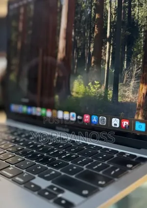 New Laptop Apple MacBook Pro 2020 M1 8GB Apple M1 Pro SSD 256GB