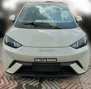 New BYD Seagull 2025 White