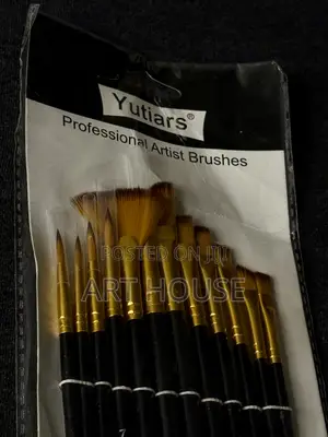 12pcs Professional Paint Brushes Set
