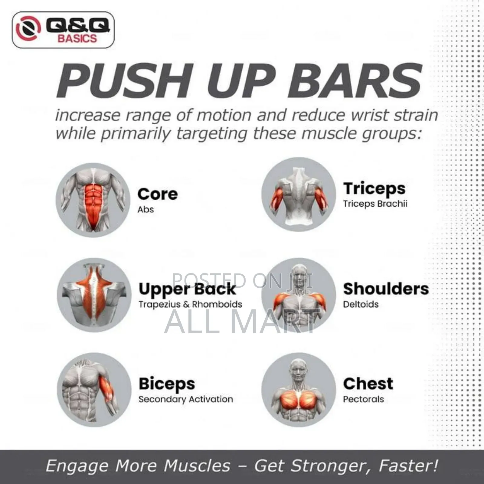 S-Type Push-Up Bar