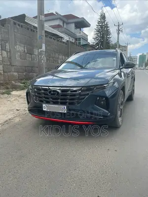 Hyundai Tucson 2024 Blue