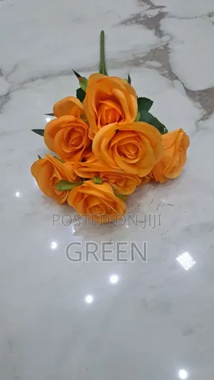 Rose 9 ግንድ