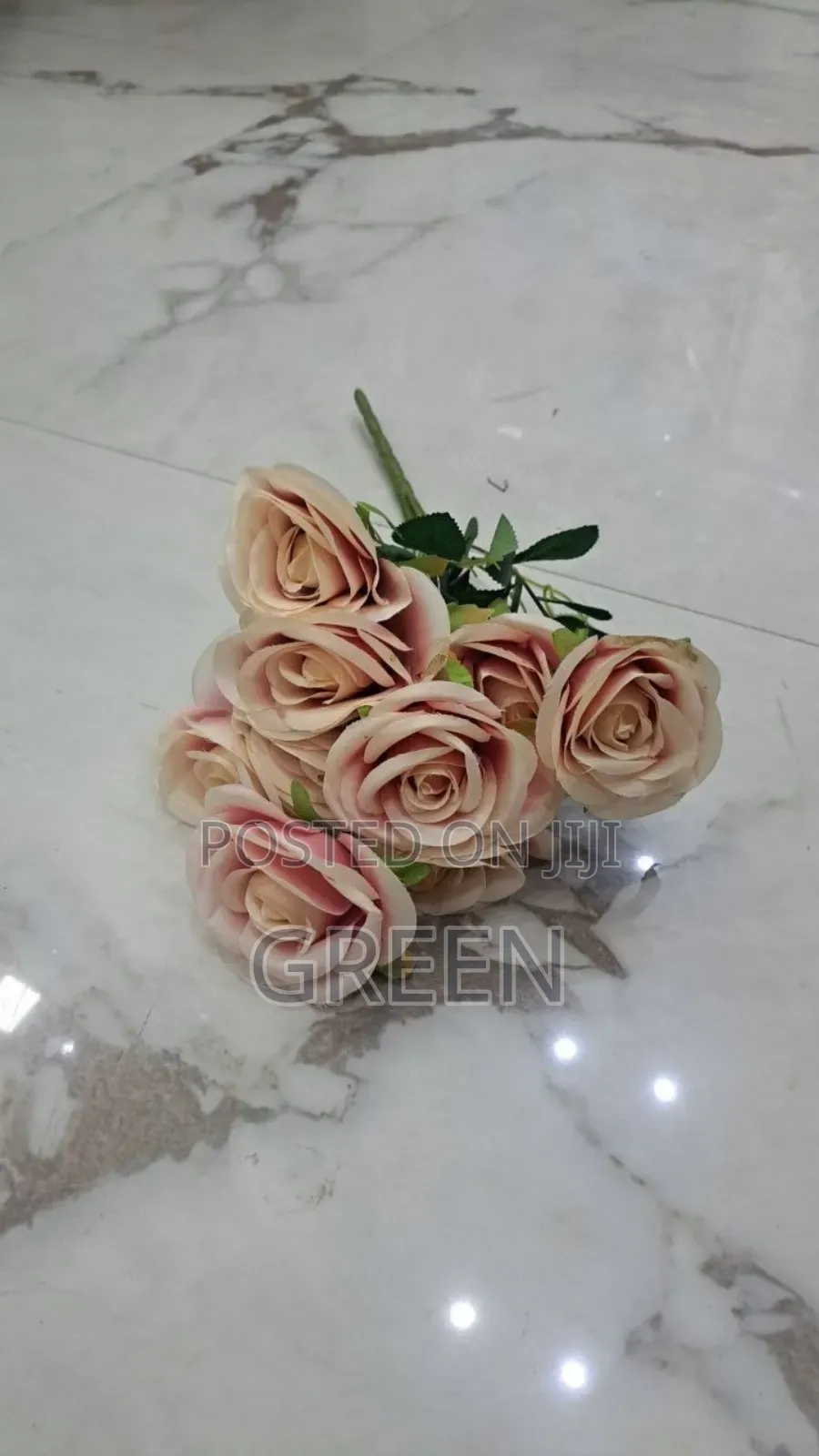 Rose 9 ግንድ