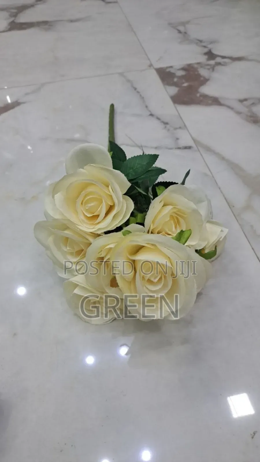 Rose 9 ግንድ