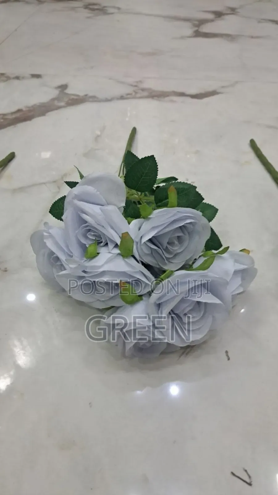 Rose 9 ግንድ
