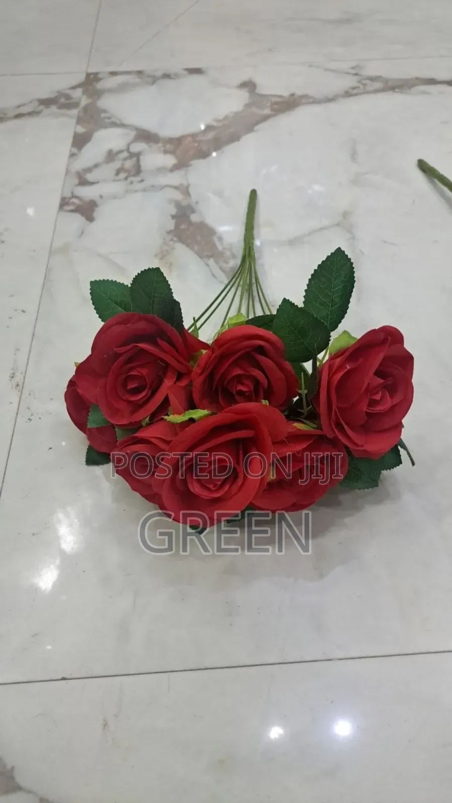 Rose 9 ግንድ