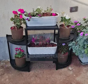 Best Looking Design Flower Frame የአበባ ማስቀመጫ