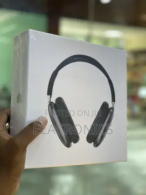 Airpods Max Style Headphones | Premium Smart Case | Type-C | Deep Bass