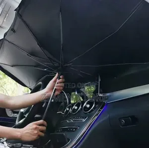 Automobile Window Umbrella