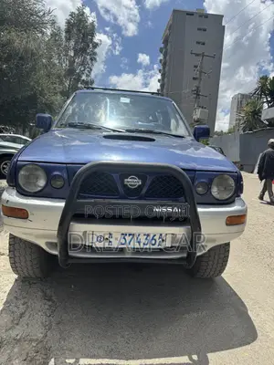 Nissan Terrano 2003 Blue