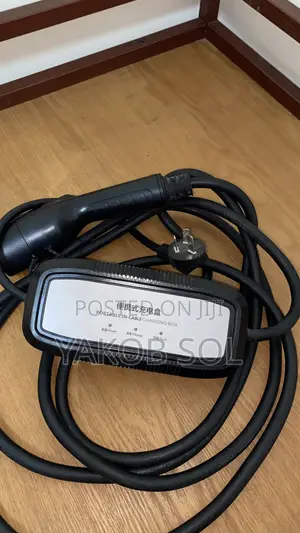 Original Electrics Car Charger