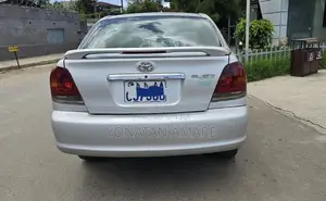 Toyota Platz 2004 Silver