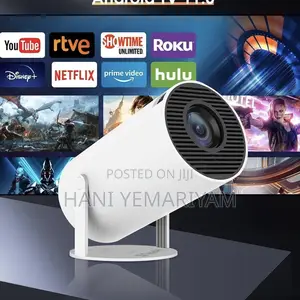Mini Projector