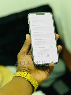 Apple iPhone 13 Pro Max 256 GB Green