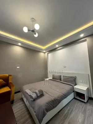 Furnished Studio Apartment in Bole for rent