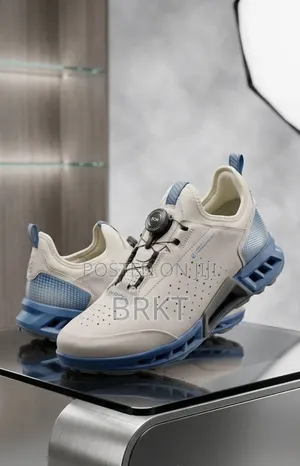 Ecco Shoes