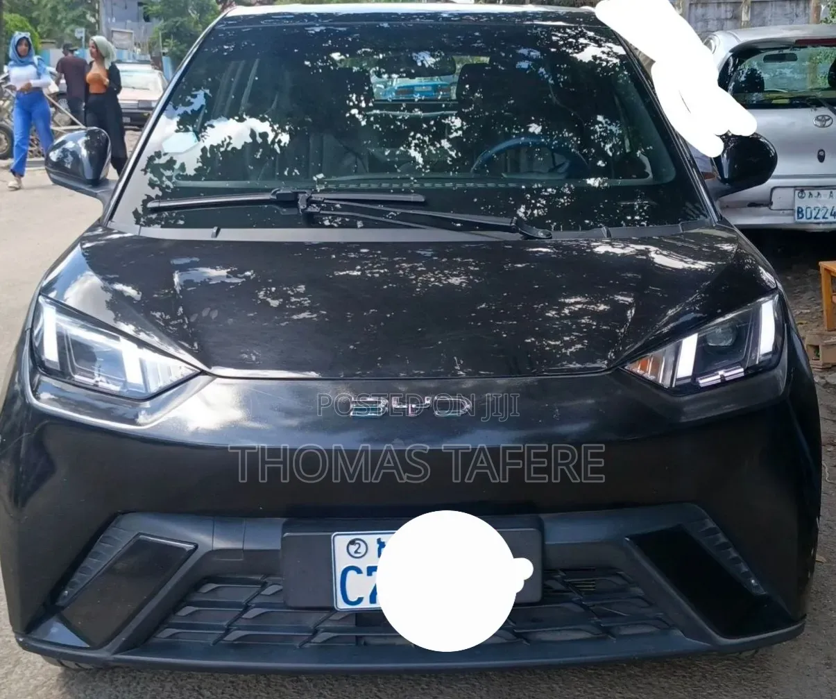 BYD Seagull 2024 Black