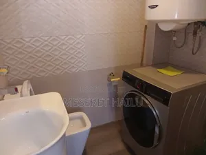 Furnished 1bdrm Apartment in Bole for rent