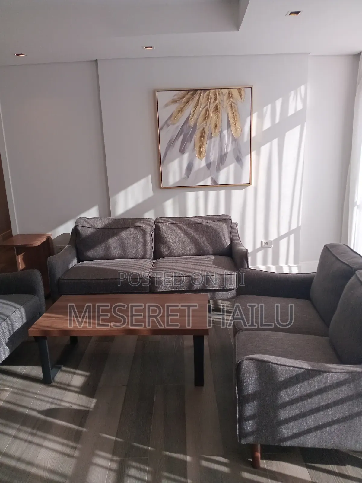Furnished 1bdrm Apartment in Bole for rent