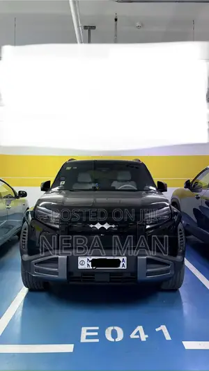 BYD Leopard 3 2024 Black