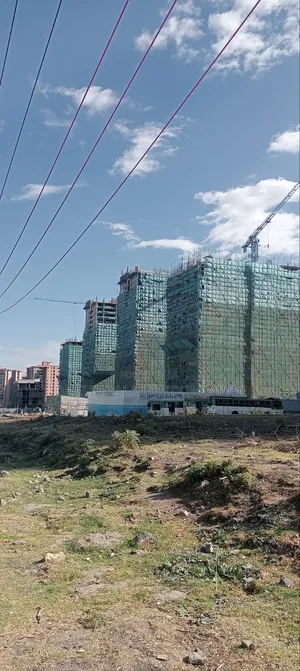 የሚሸጥ 1000 ካሬ በአያት 49