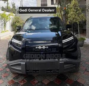 New BYD Leopard 3 2025 Gray